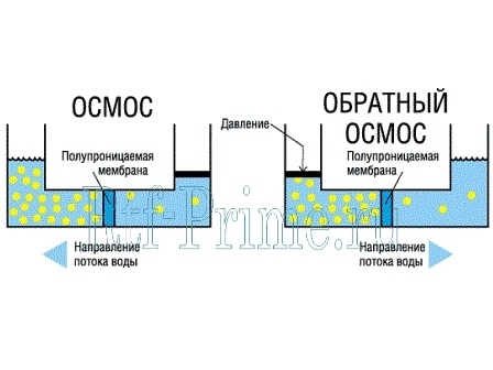 Service/membranetech4